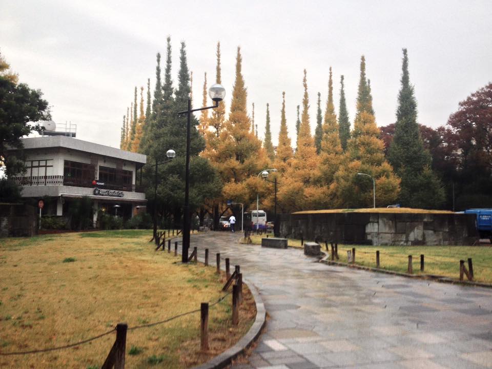 f:id:santambo:20161122072824j:plain