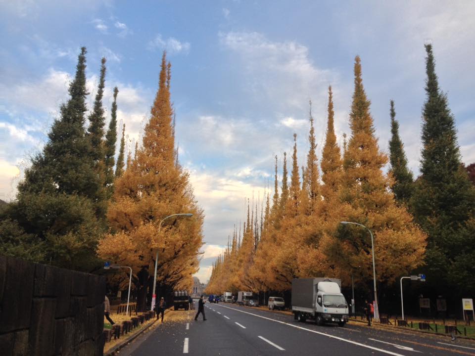 f:id:santambo:20161128072907j:plain f:id:santambo:20161128072907j:plain