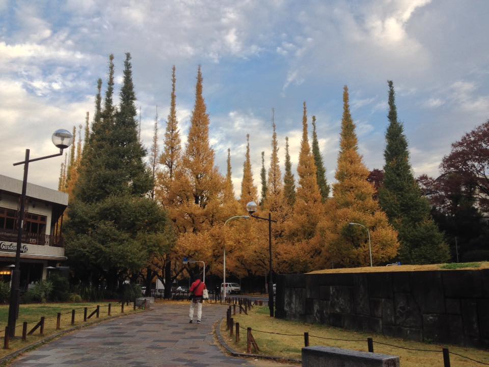 f:id:santambo:20161128072931j:plain f:id:santambo:20161128072931j:plain