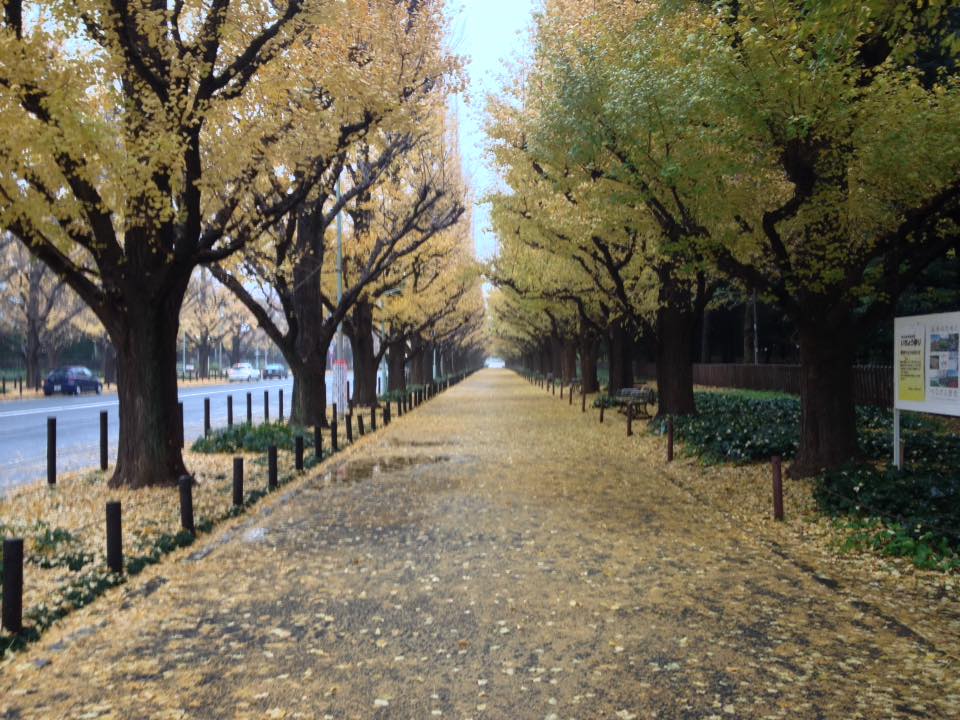 f:id:santambo:20161201082027j:plain f:id:santambo:20161201082027j:plain