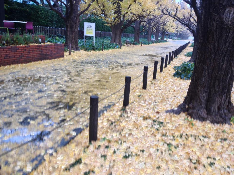 f:id:santambo:20161201082057j:plain f:id:santambo:20161201082057j:plain