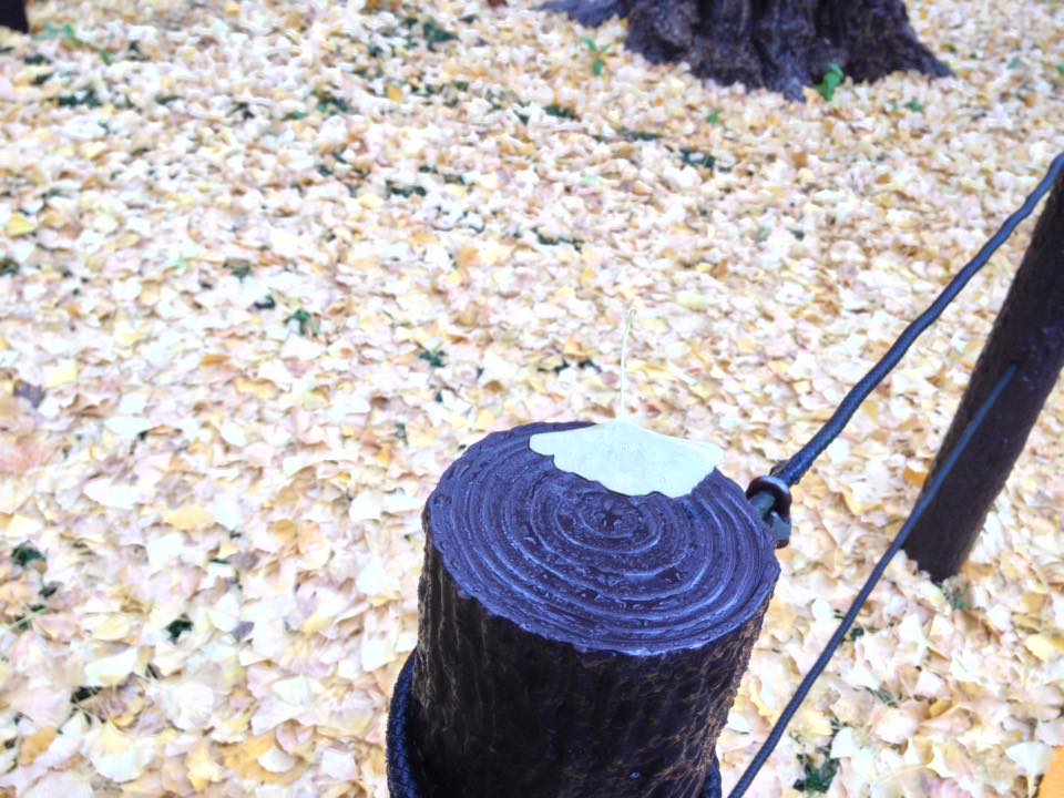 f:id:santambo:20161201082110j:plain f:id:santambo:20161201082110j:plain