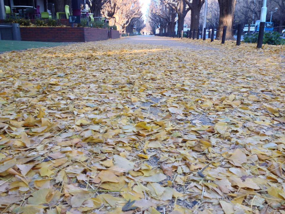 f:id:santambo:20161208081130j:plain