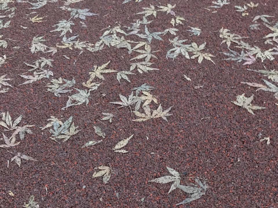 f:id:santambo:20161217075537j:plain