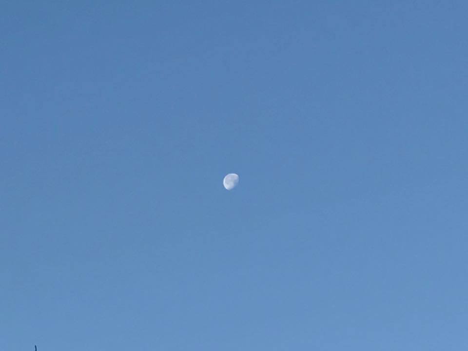 f:id:santambo:20161218075341j:plain