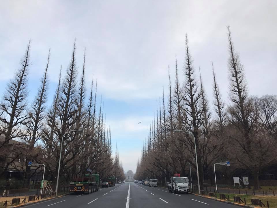 f:id:santambo:20170210074901j:plain