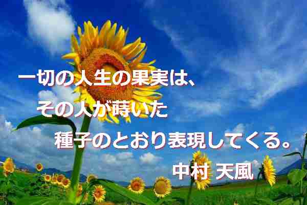santambo すべては奇跡と感謝する santambo すべては奇跡と感謝する