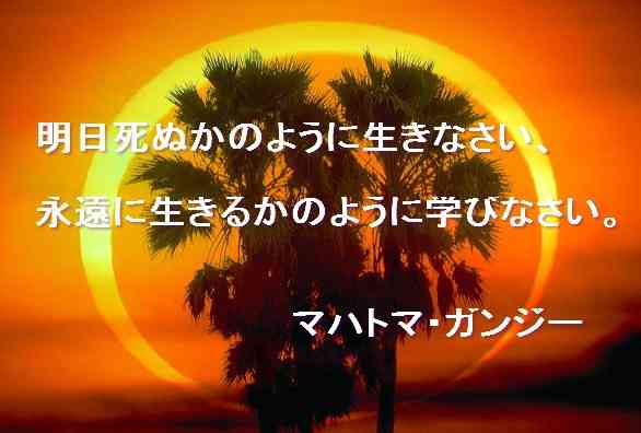santambo 決断と判断を楽しむ santambo 決断と判断を楽しむ