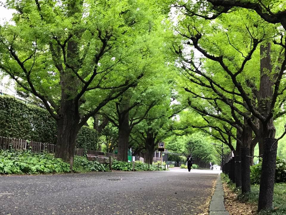 f:id:santambo:20170427082124j:plain