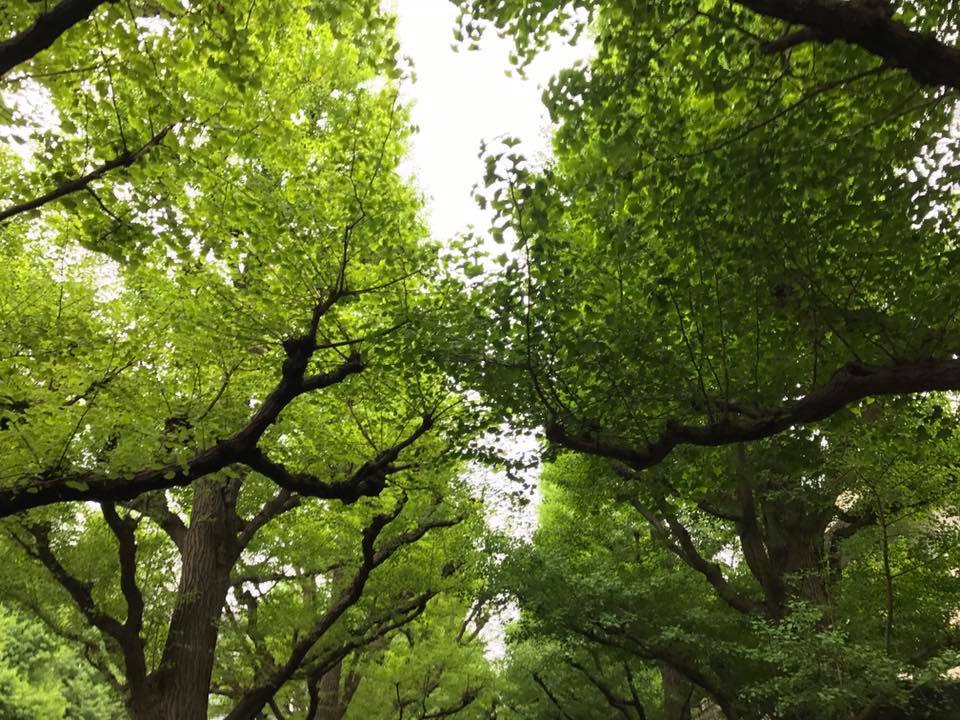 f:id:santambo:20170427082148j:plain