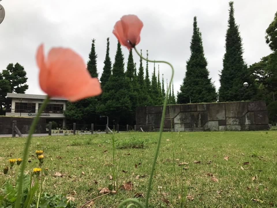 f:id:santambo:20170515074007j:plain