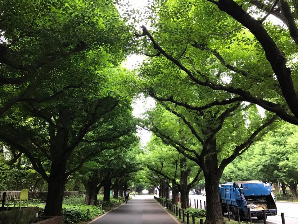 f:id:santambo:20170515074022j:plain