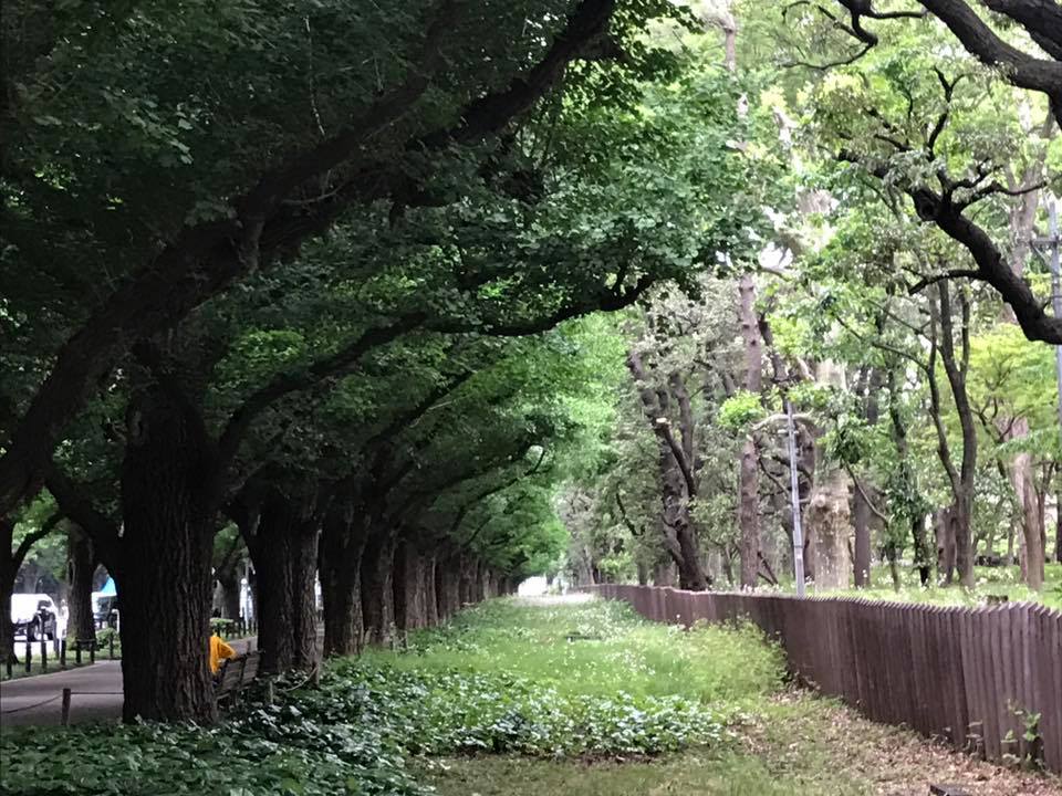 f:id:santambo:20170515074035j:plain