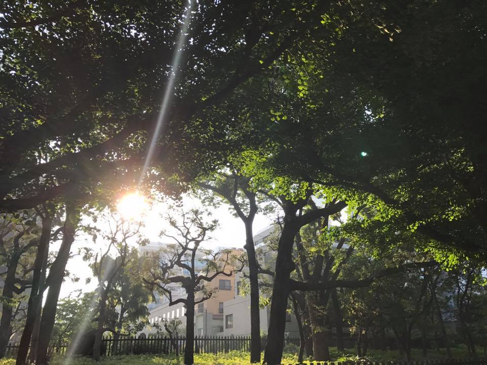 f:id:santambo:20170520064341j:plain