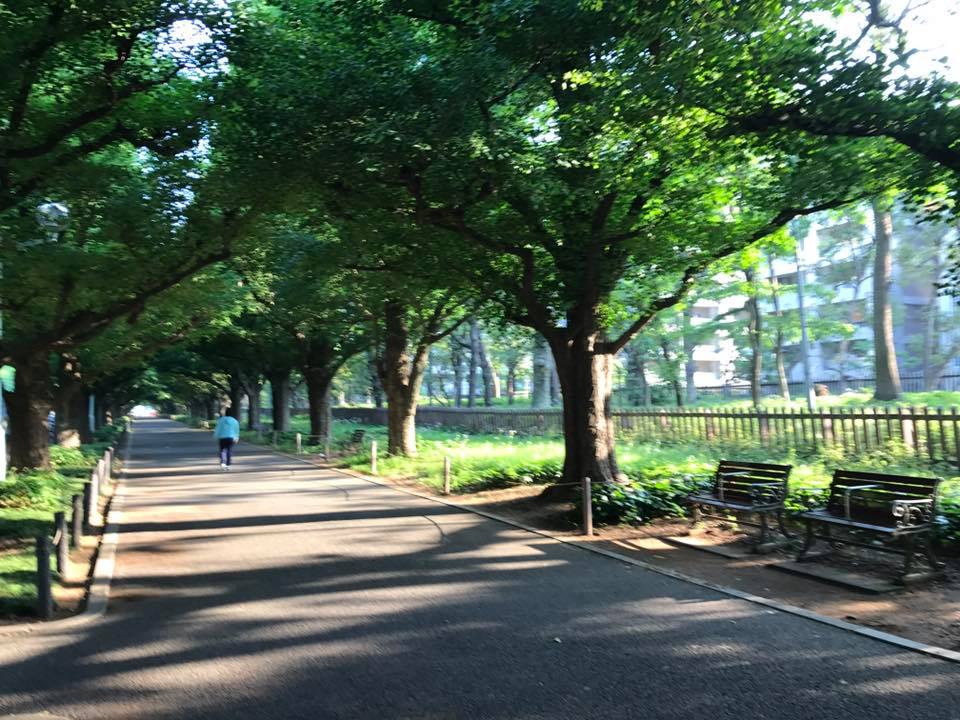 f:id:santambo:20170520064356j:plain