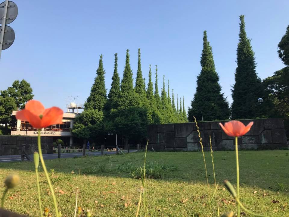 f:id:santambo:20170520064409j:plain