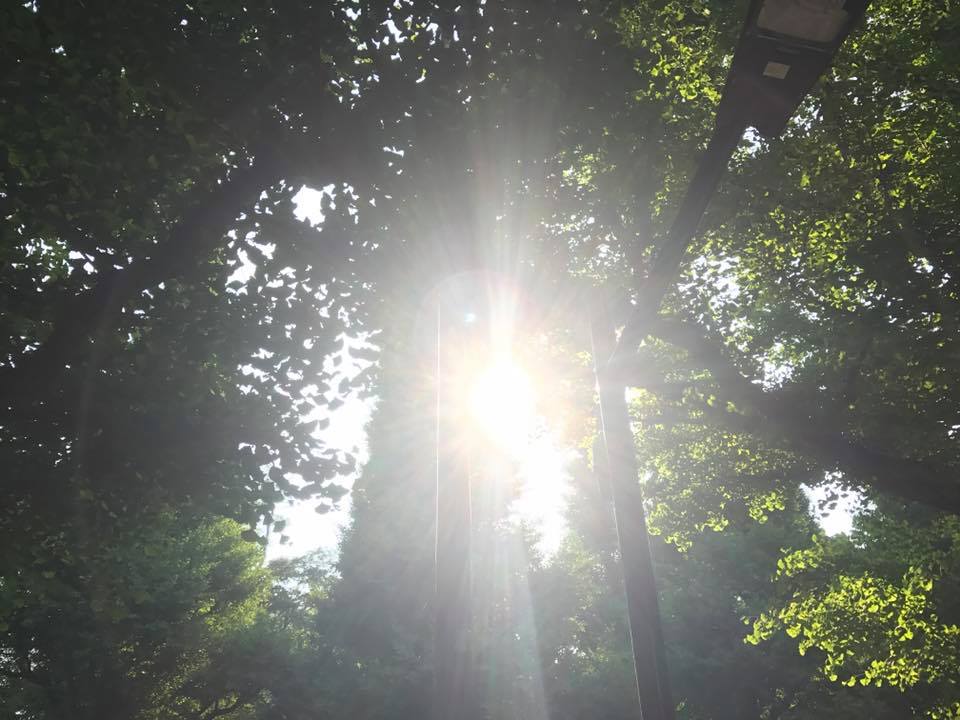 f:id:santambo:20170523073113j:plain