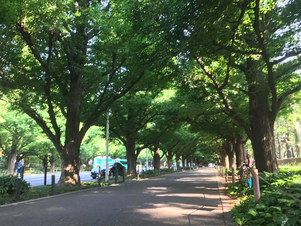 f:id:santambo:20170523073131j:plain