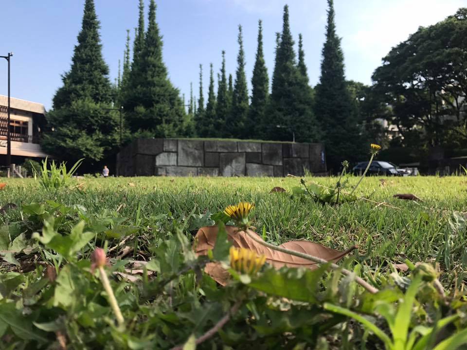 f:id:santambo:20170529065431j:plain