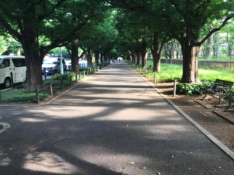 f:id:santambo:20170529065446j:plain