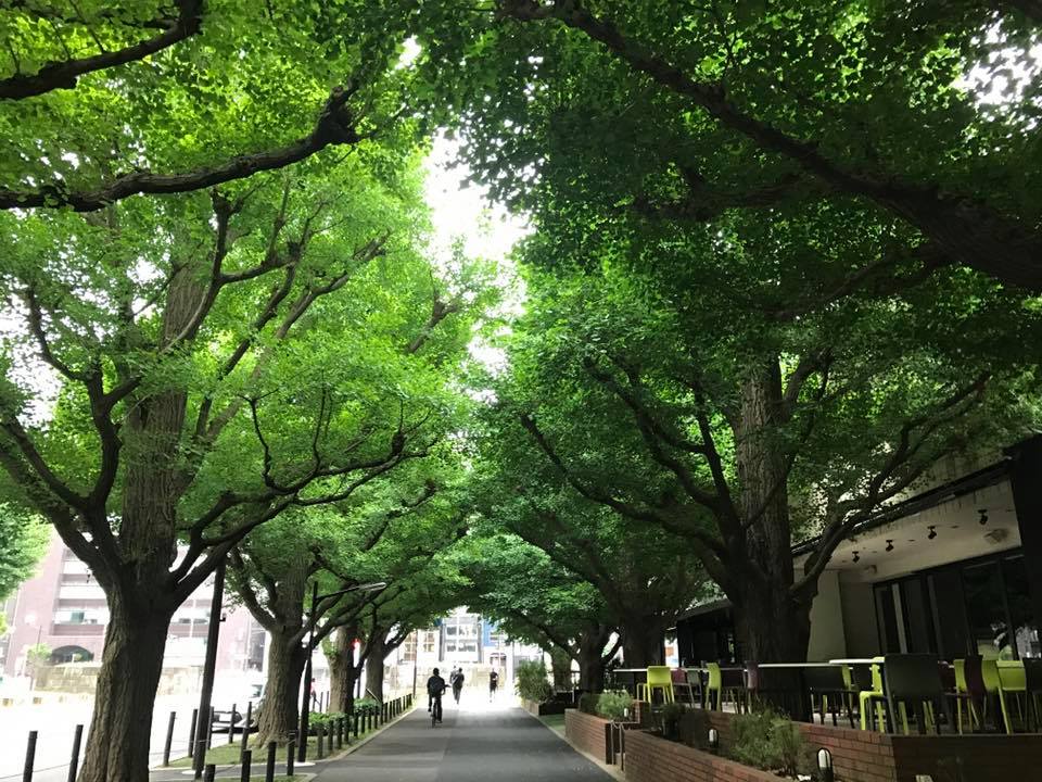 f:id:santambo:20170607072604j:plain