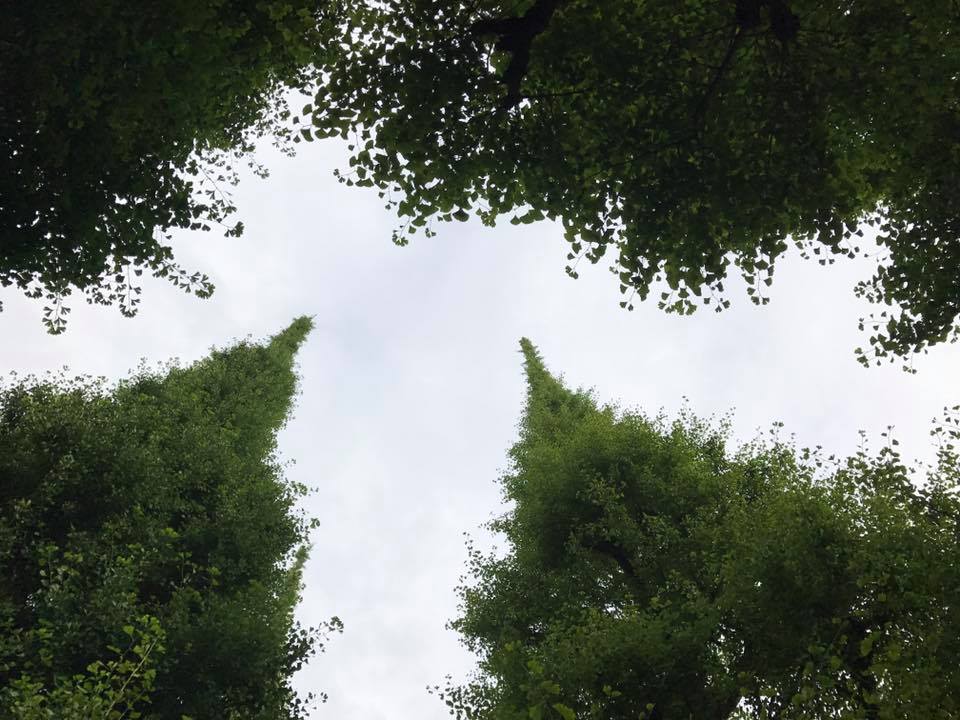 f:id:santambo:20170615074035j:plain