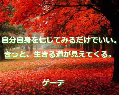 santambo 共通意識で完全完璧