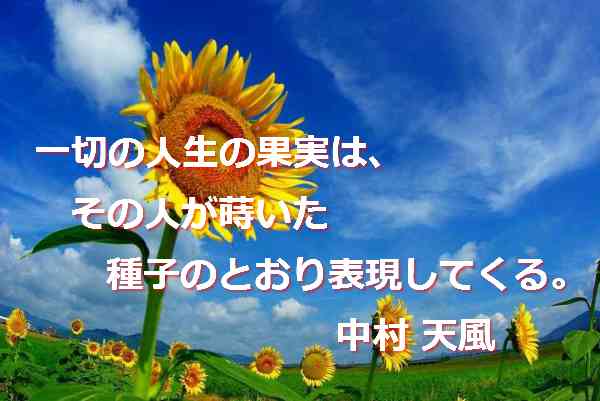 santambo 心のハンドルで今に生きる