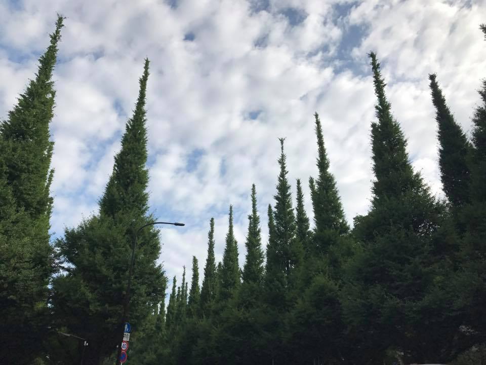 f:id:santambo:20170706075012j:plain