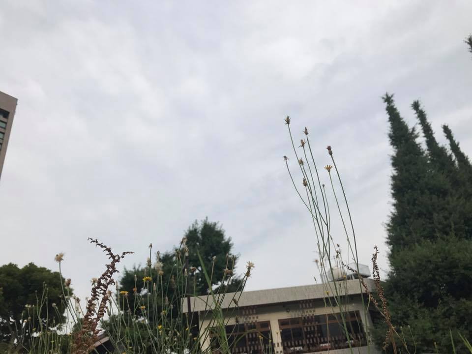 f:id:santambo:20170718065101j:plain