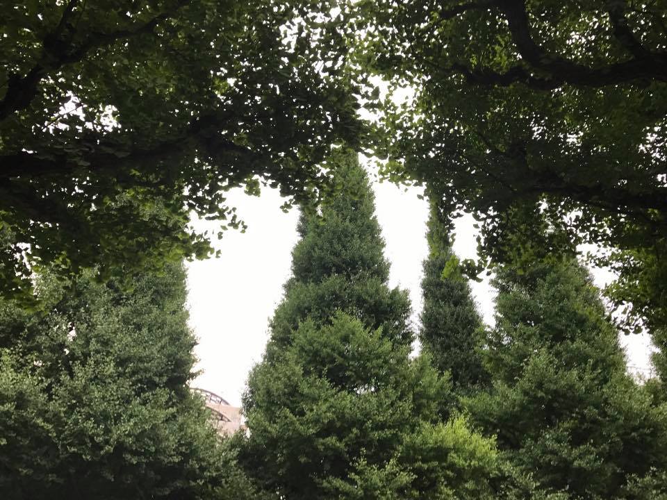 f:id:santambo:20170724063158j:plain