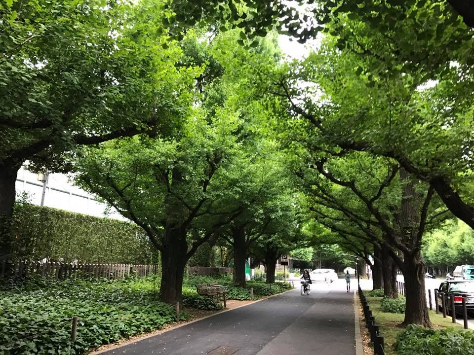 f:id:santambo:20170724063214j:plain