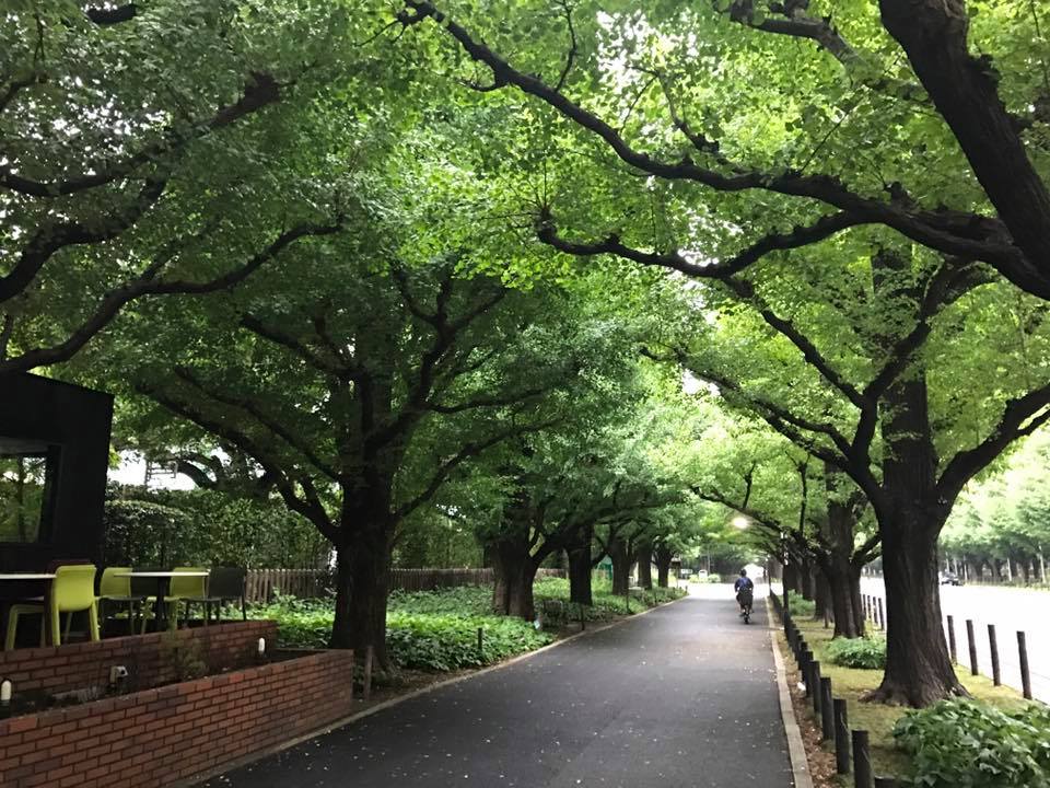 f:id:santambo:20170730062712j:plain