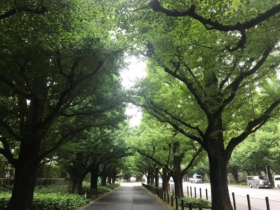 f:id:santambo:20170804074458j:plain