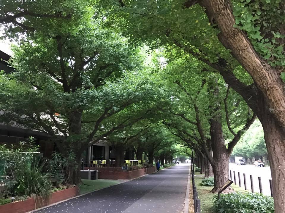 f:id:santambo:20170805070614j:plain