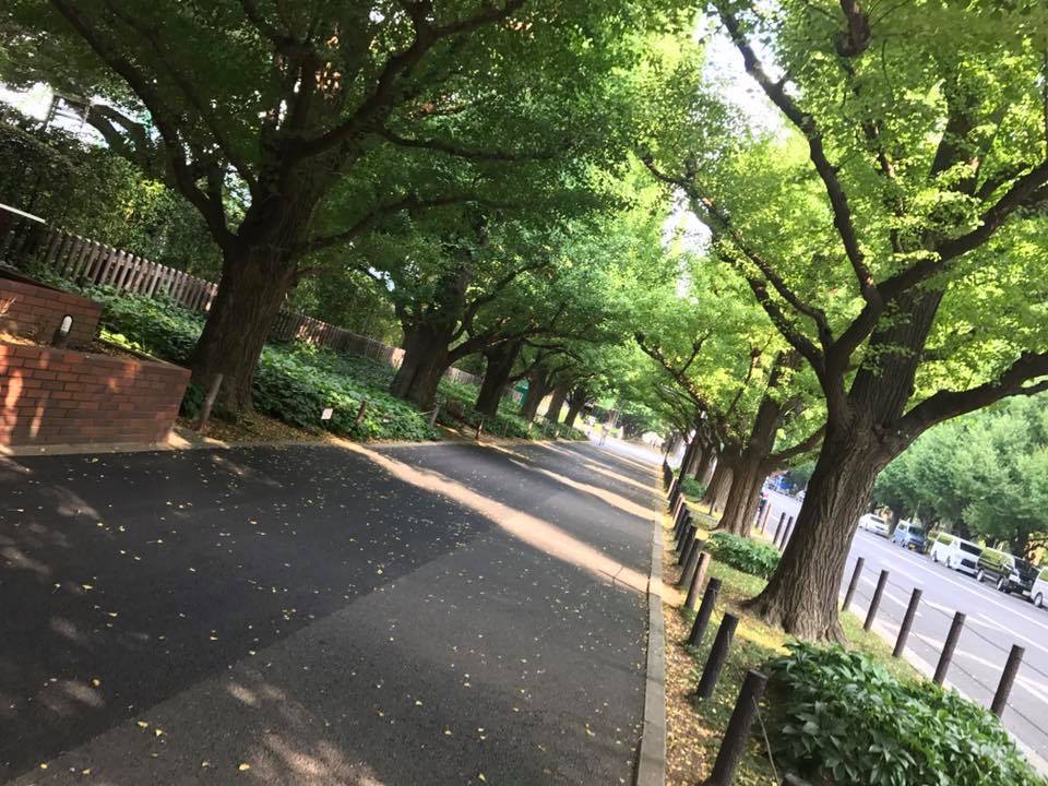 f:id:santambo:20170830075604j:plain