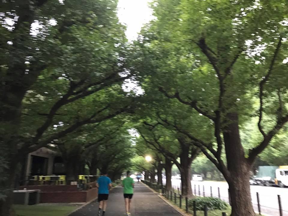 f:id:santambo:20170831070029j:plain