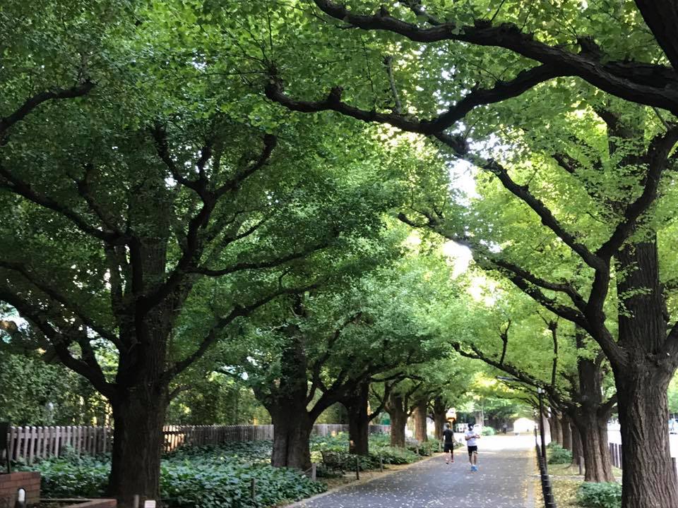 f:id:santambo:20170921071714j:plain f:id:santambo:20170921071714j:plain