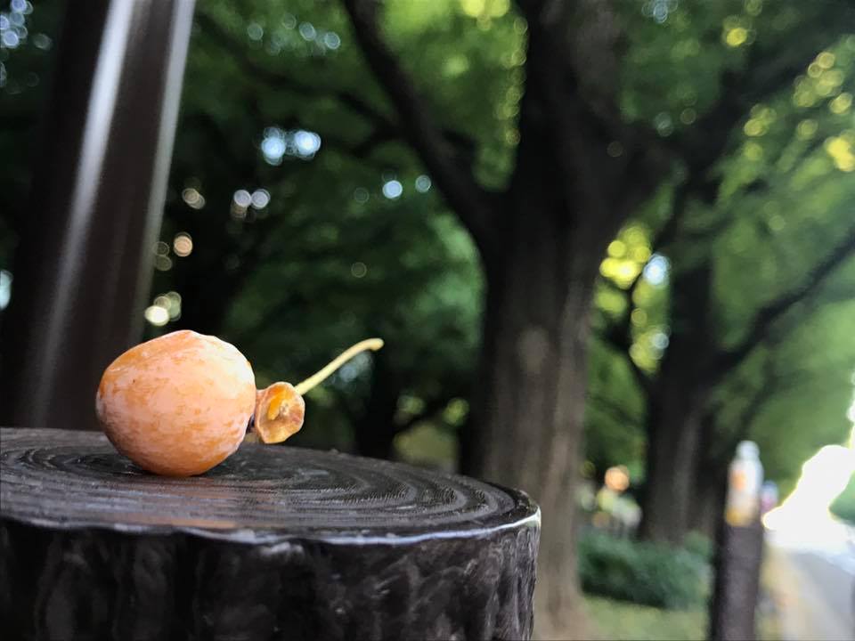 f:id:santambo:20170921071824j:plain f:id:santambo:20170921071824j:plain