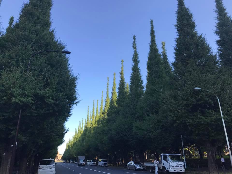 f:id:santambo:20170921071839j:plain f:id:santambo:20170921071839j:plain