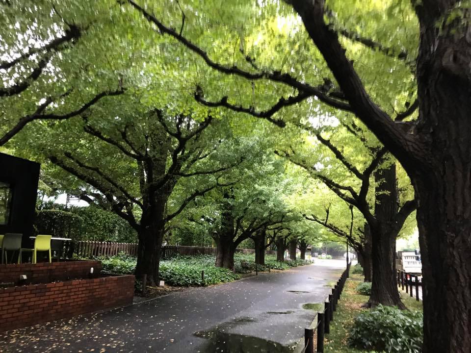 f:id:santambo:20171016074301j:plain