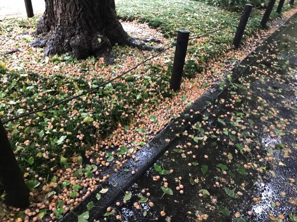 f:id:santambo:20171016074317j:plain