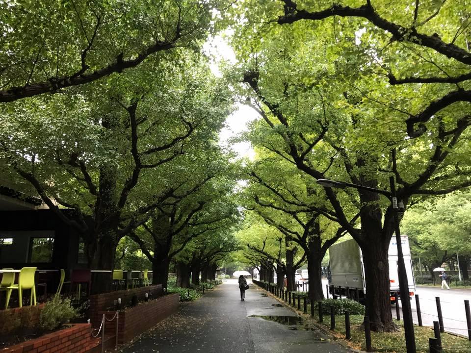 f:id:santambo:20171016074334j:plain