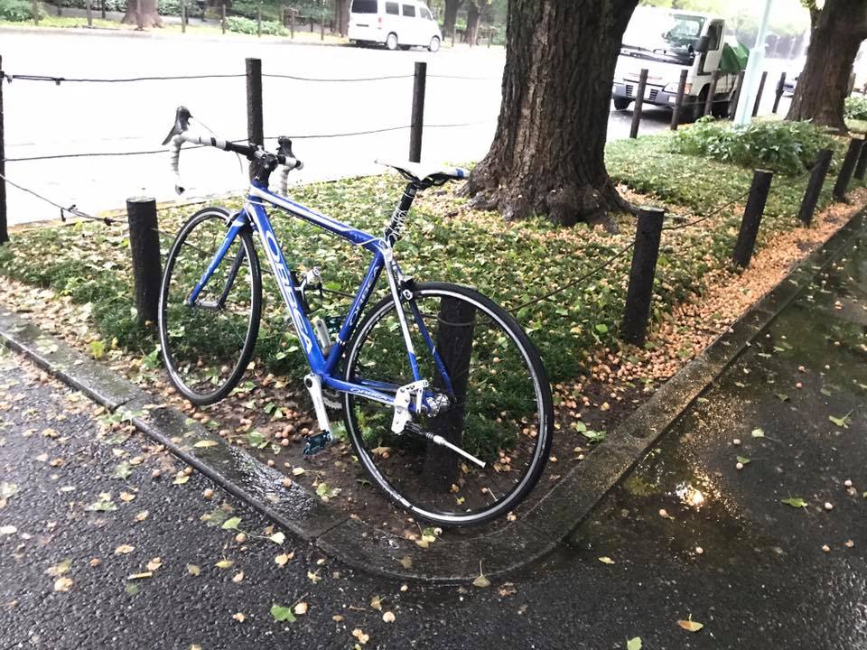 f:id:santambo:20171017074125j:plain