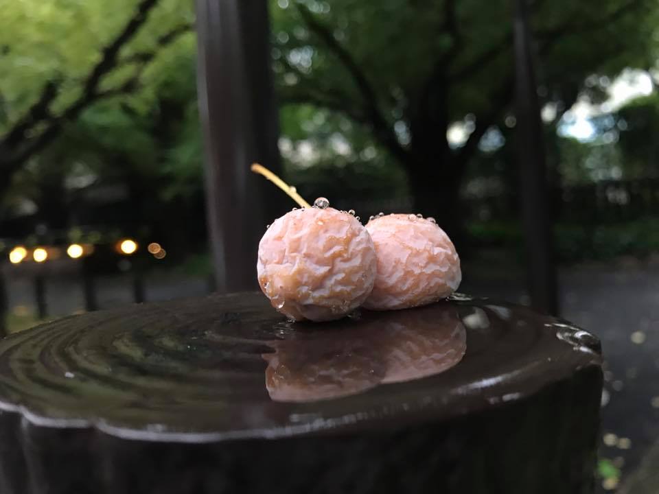 f:id:santambo:20171017074140j:plain