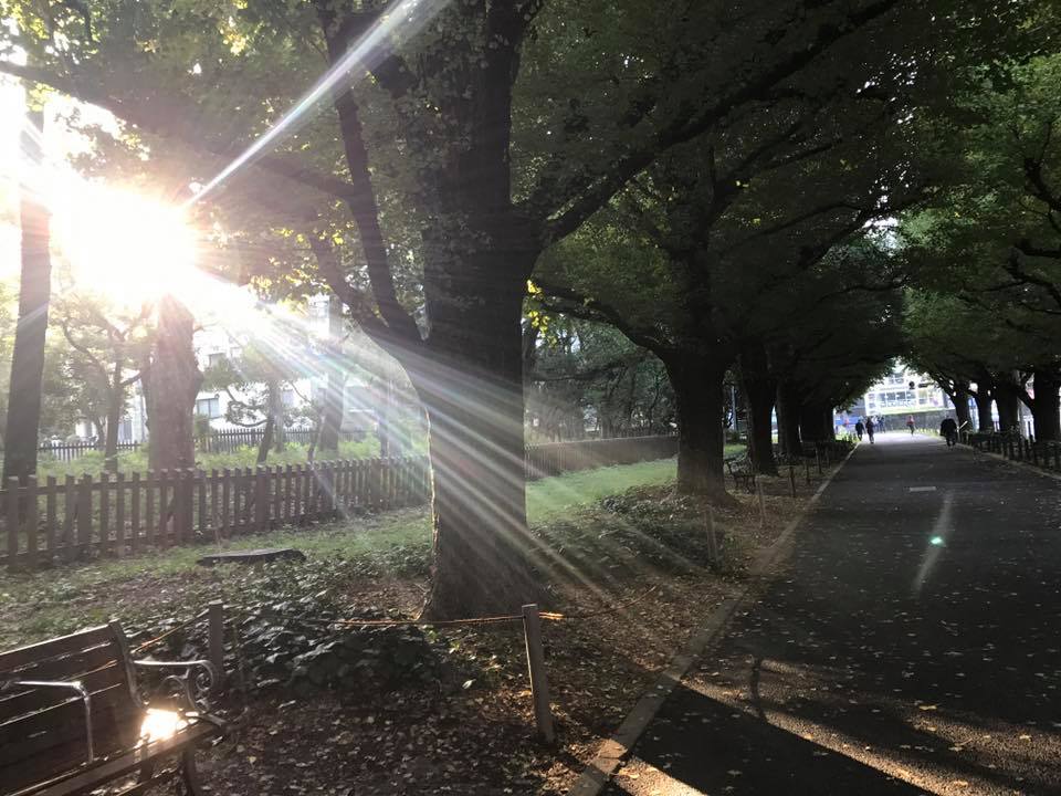 f:id:santambo:20171018073108j:plain