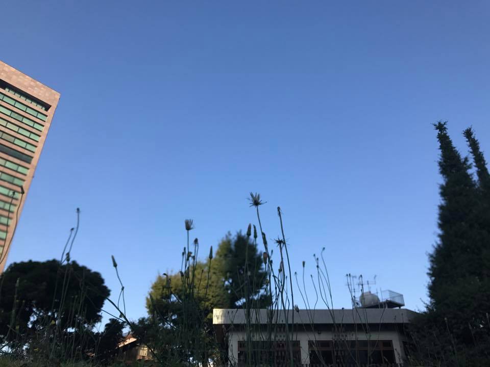 f:id:santambo:20171018073122j:plain