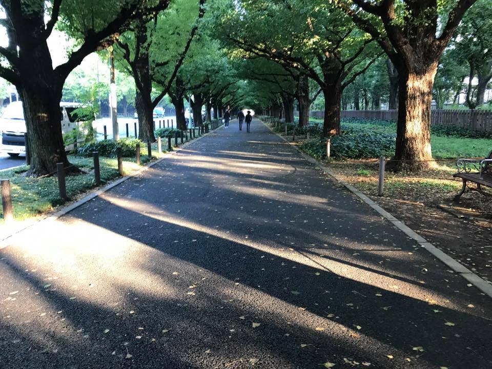 f:id:santambo:20171018073137j:plain