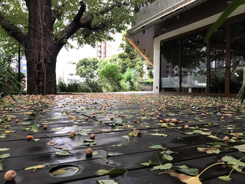 f:id:santambo:20171023074209j:plain