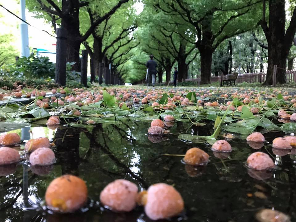 f:id:santambo:20171023074239j:plain